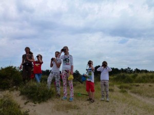 Kudde in het duin juli 2013-1